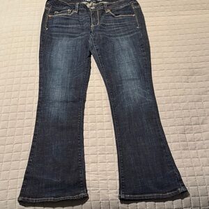 American Eagle Outfitters Skinny Kick Dark Wash Jeans